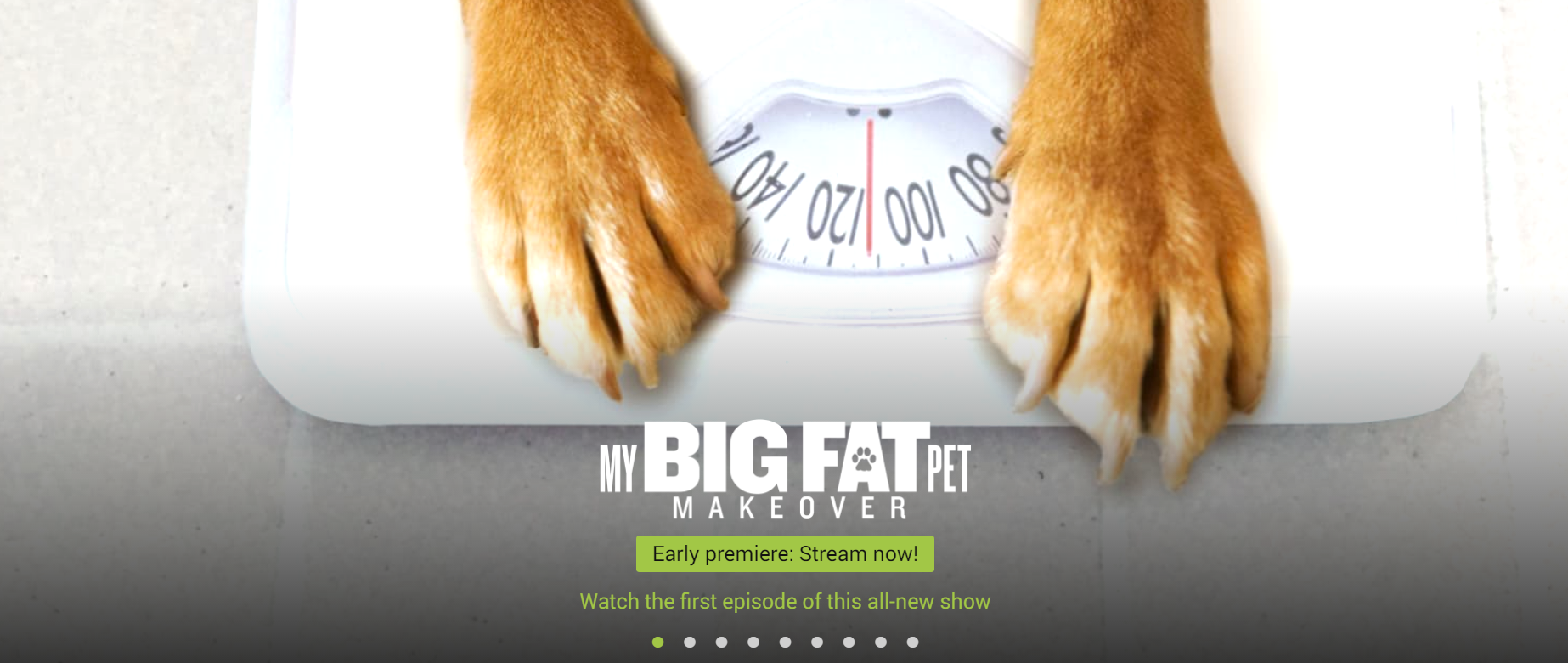 肥宠瘦身的海报-其他海报 美国