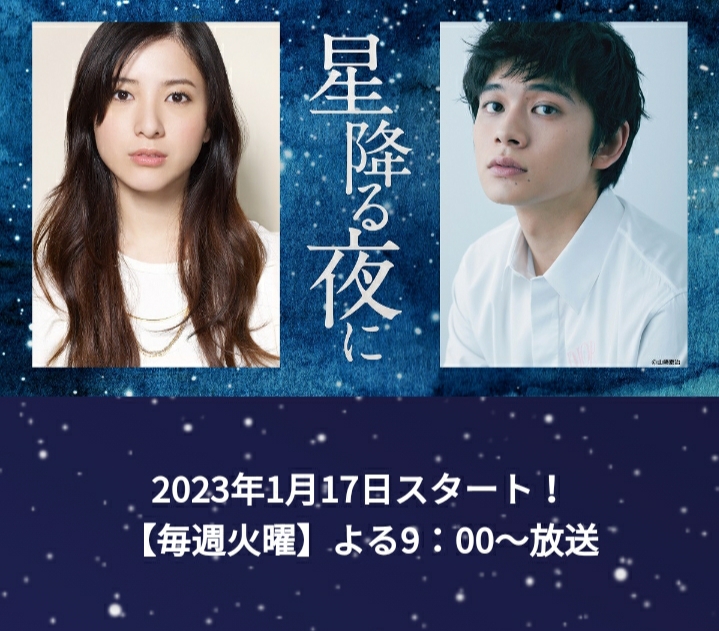 于星降之夜的海报-预告海报