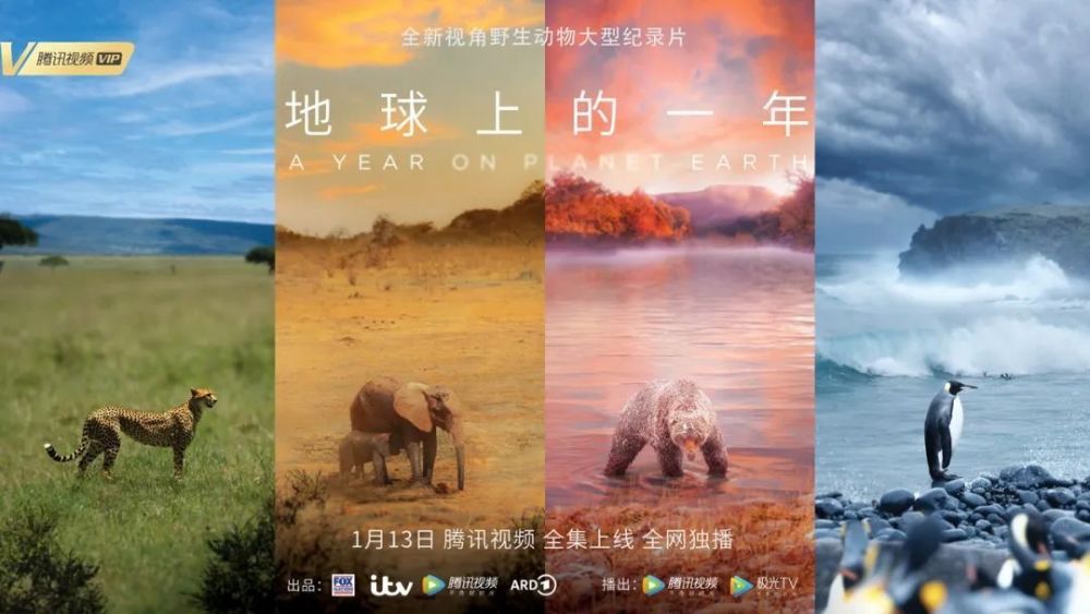 地球上的一年的海报-预告海报 中国大陆