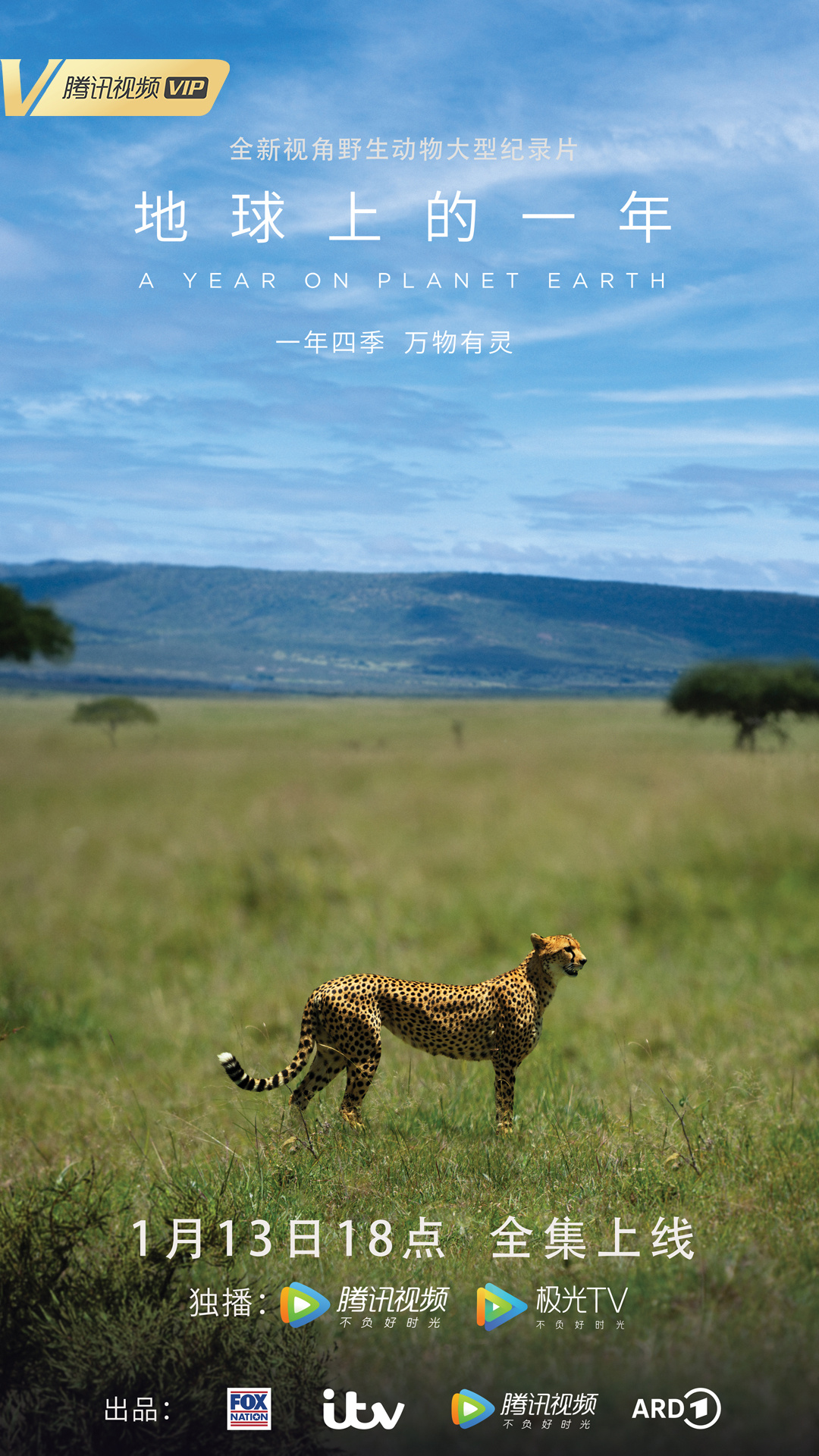 地球上的一年的海报-正式海报 中国大陆