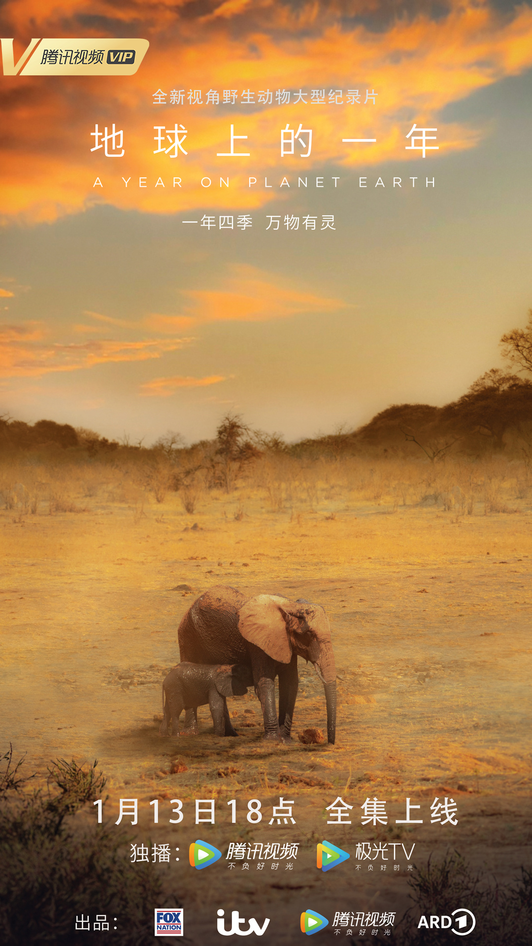 地球上的一年的海报-正式海报 中国大陆