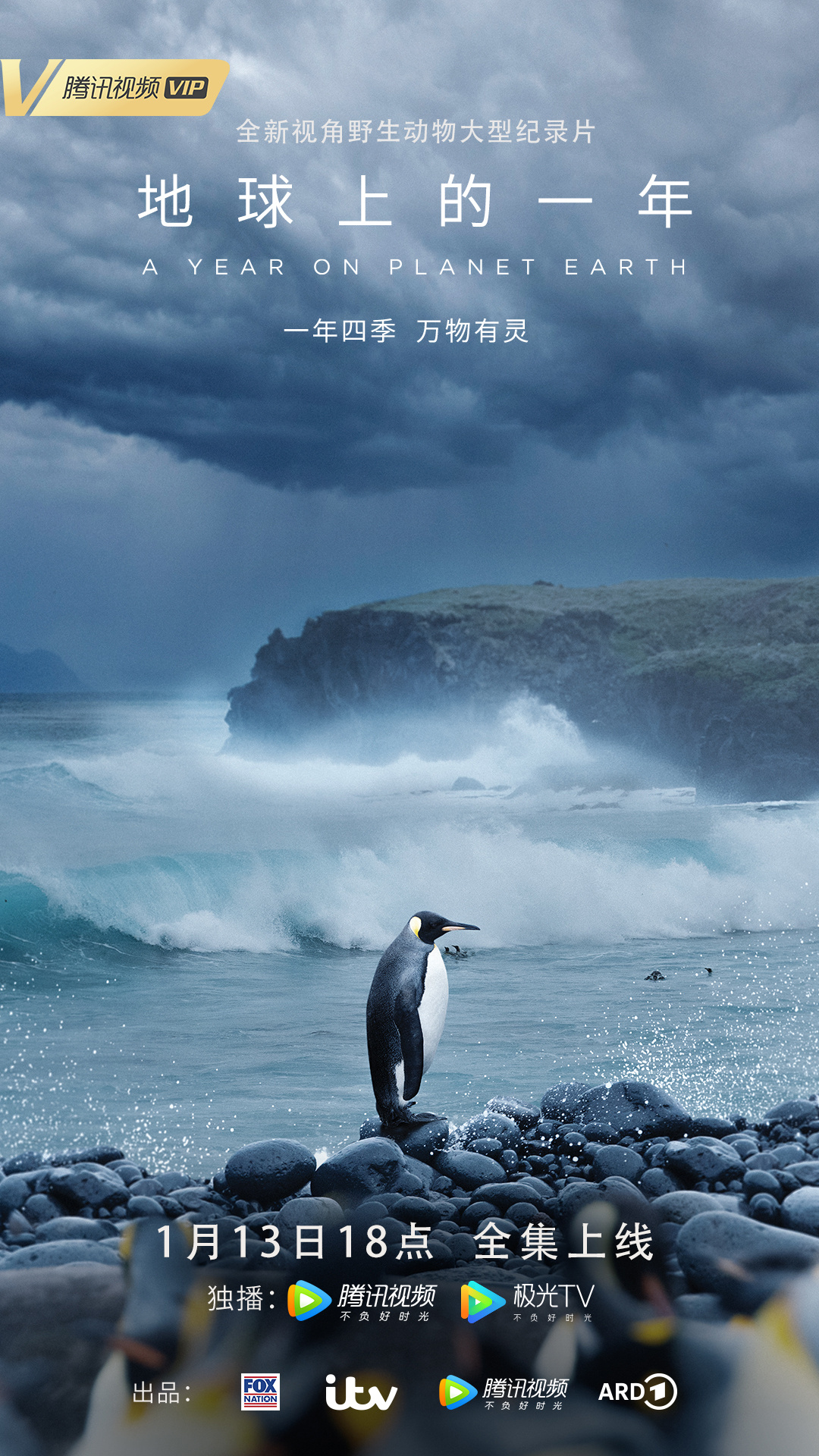 地球上的一年的海报-正式海报 中国大陆