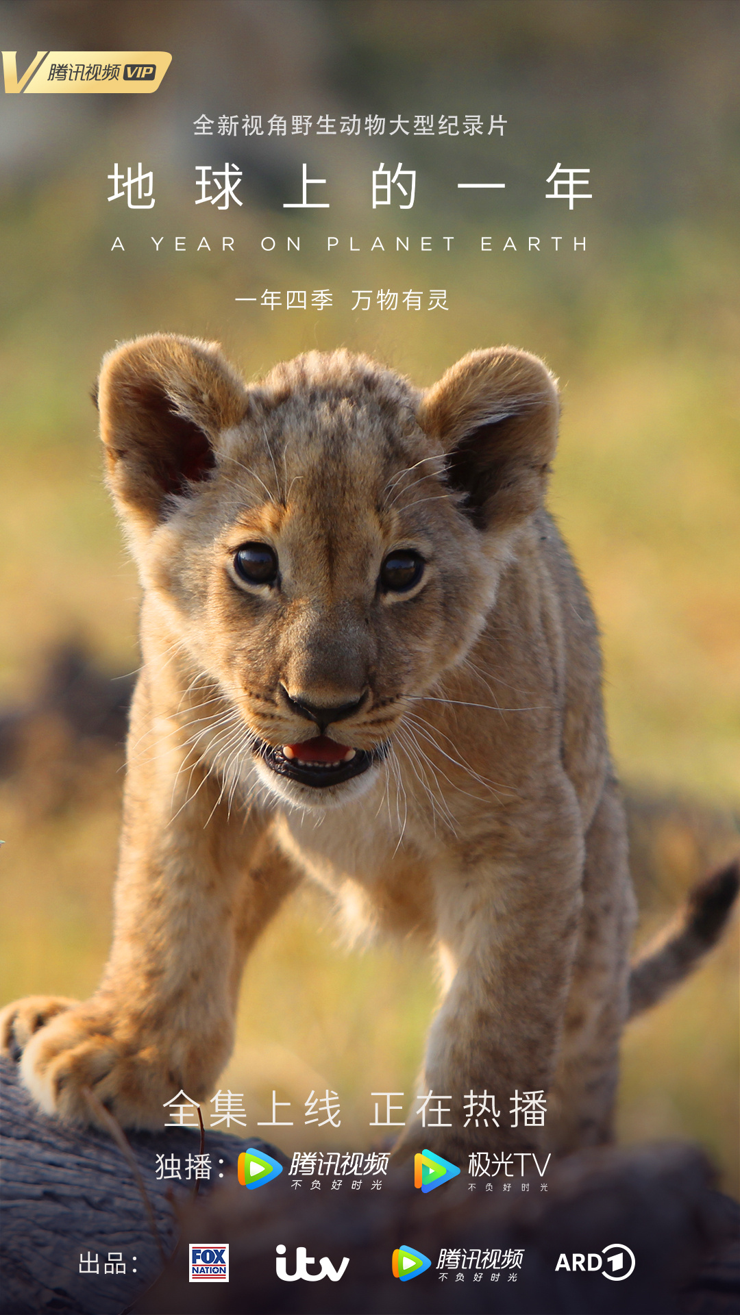 地球上的一年的海报-预告海报 中国大陆
