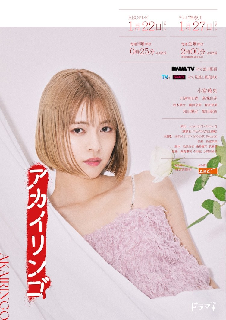 红苹果的海报-角色海报