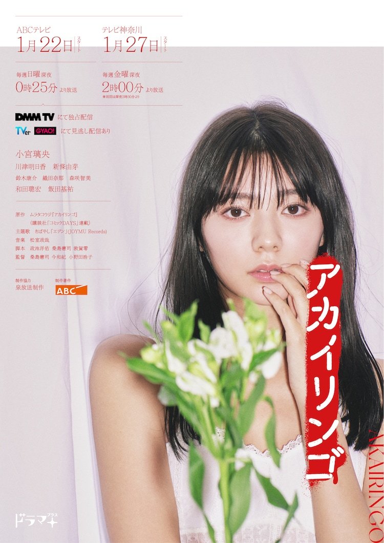 红苹果的海报-角色海报