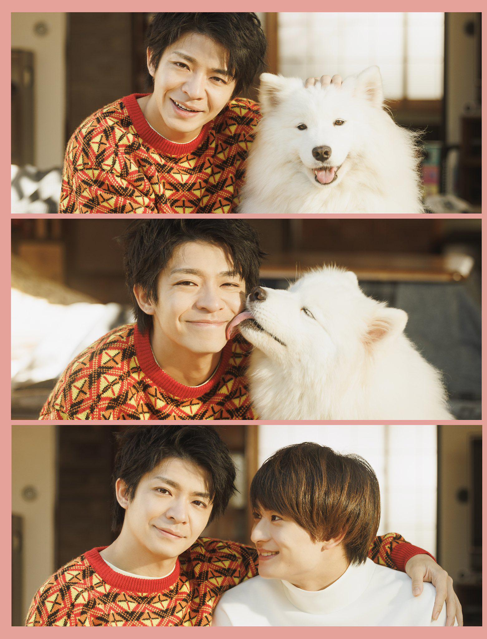 爱你汪汪的海报-正式海报 日本