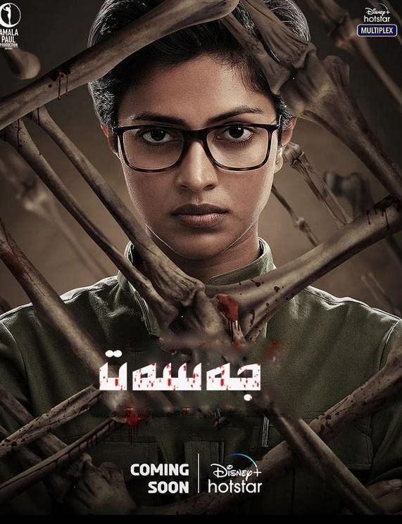 法医缉凶的海报-正式海报