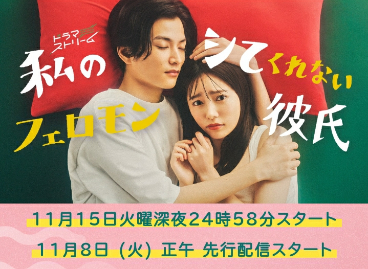 我的不和我做的费洛蒙男友的海报-预告海报