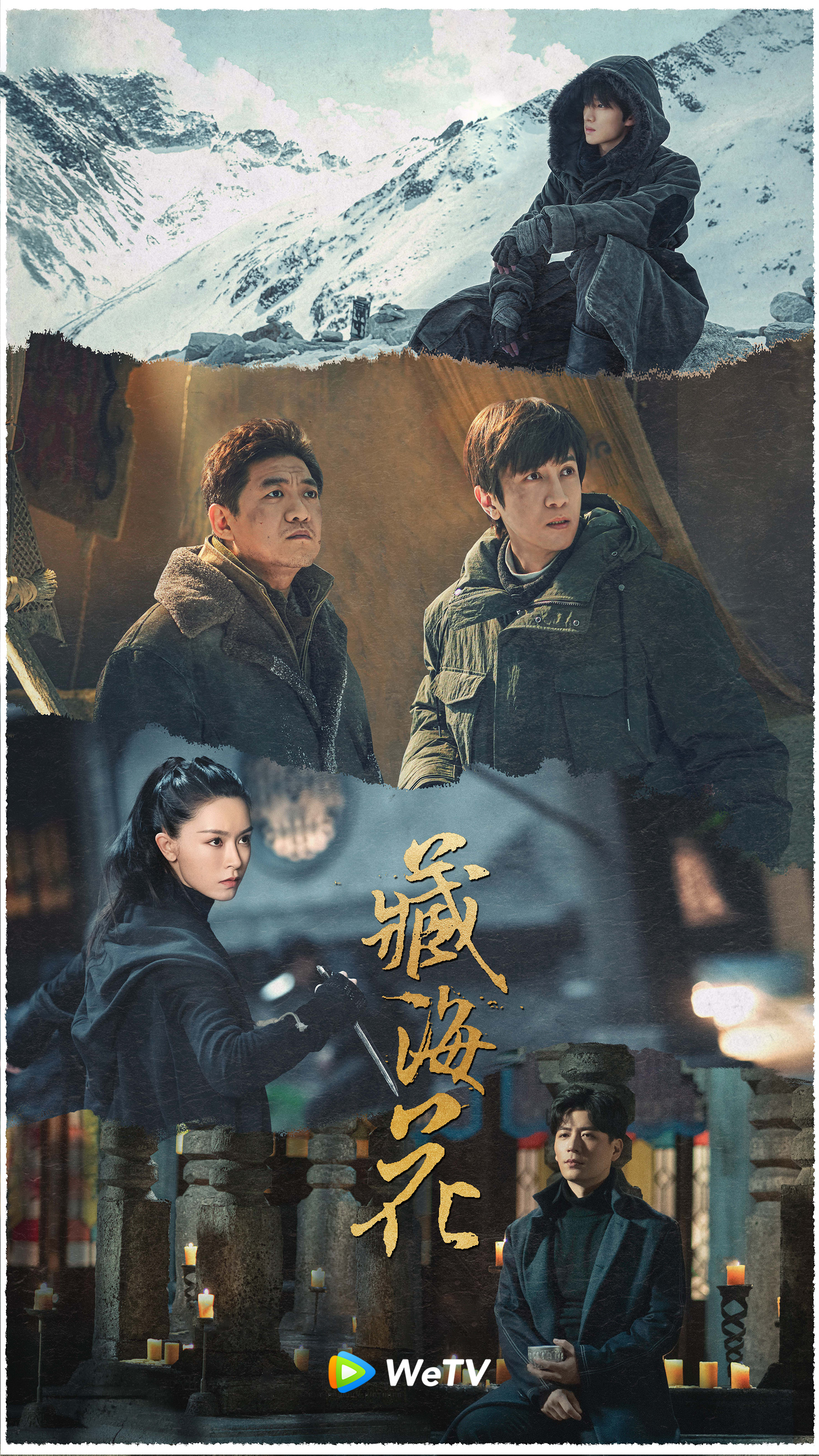 藏海花的海报-正式海报