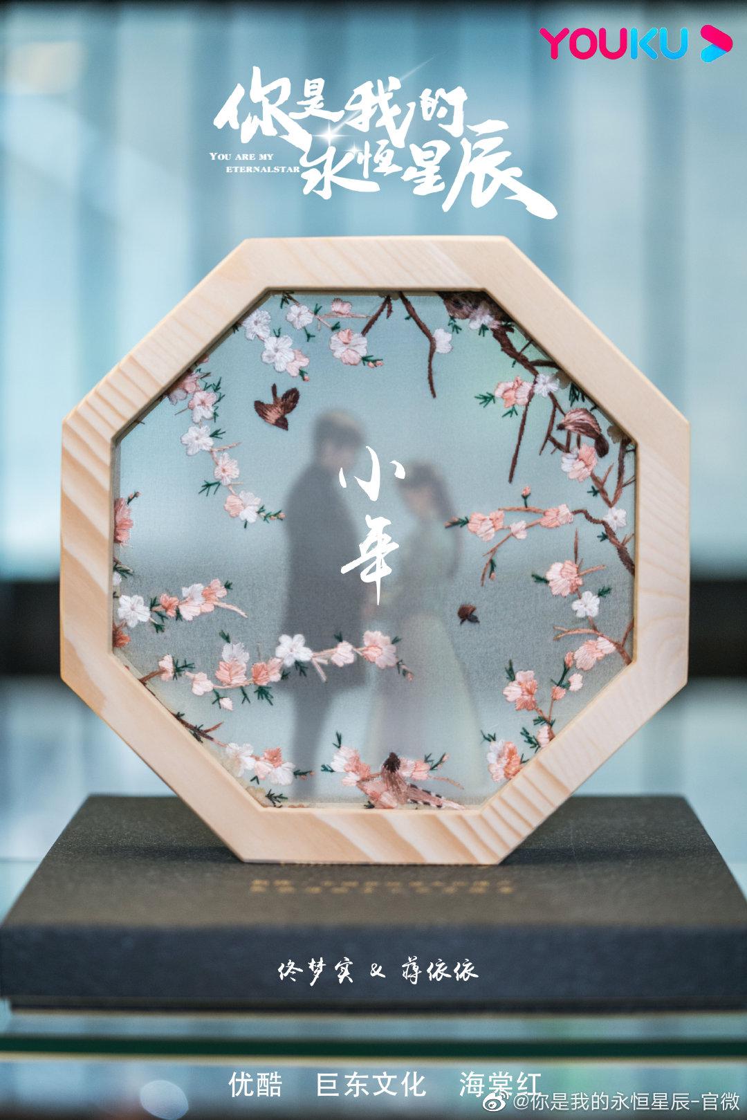 你是我的永恒星辰的海报-预告海报