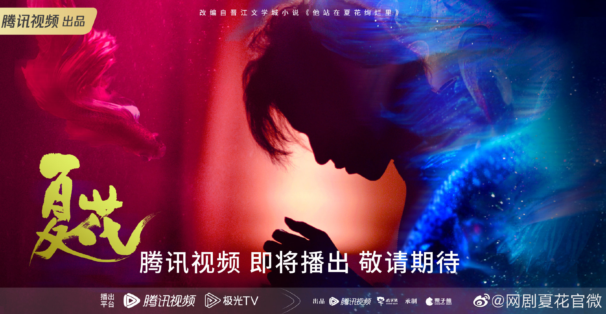 夏花的海报-正式海报