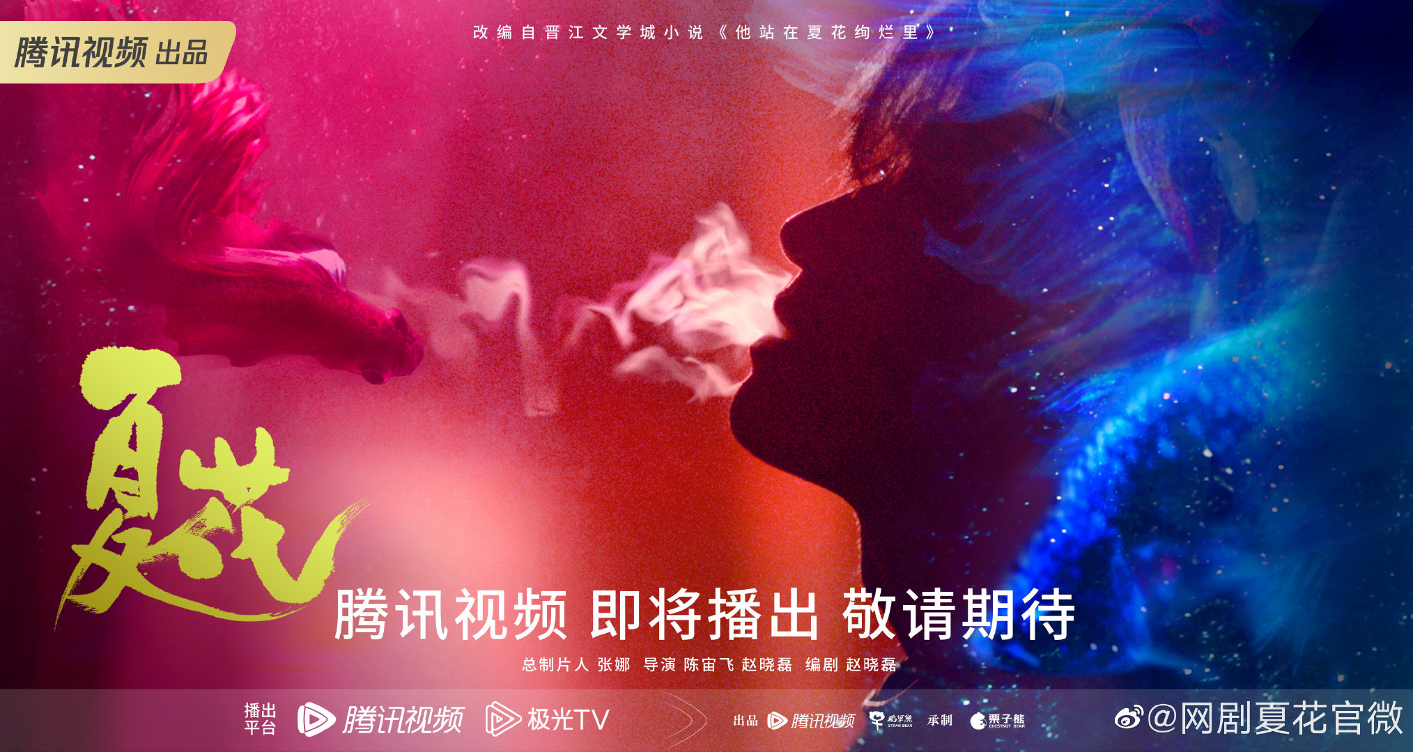 夏花的海报-正式海报