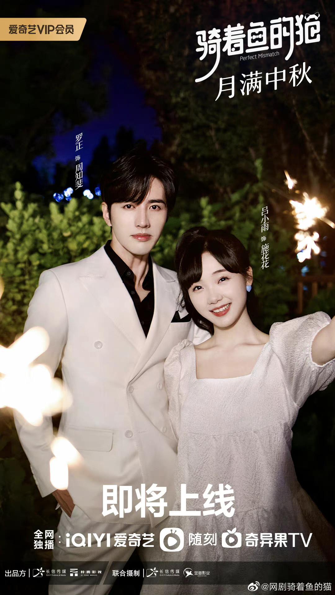 骑着鱼的猫的海报-正式海报