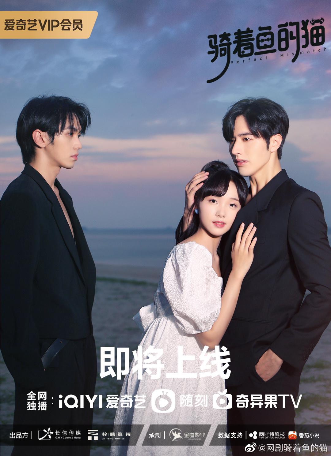 骑着鱼的猫的海报-正式海报