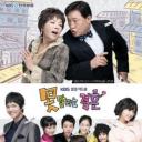 无法阻挡的婚姻