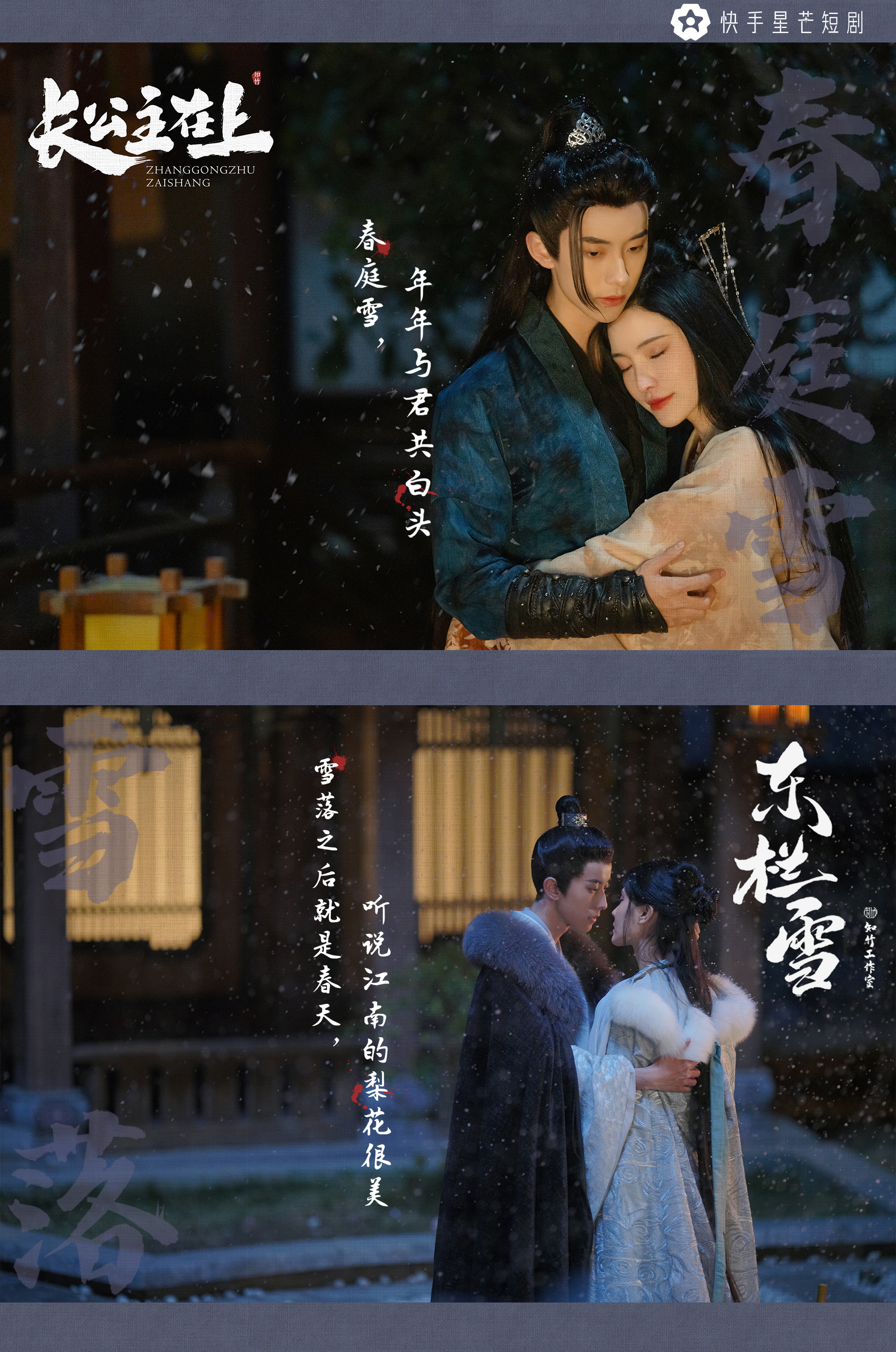 东栏雪的海报-角色海报 中国大陆