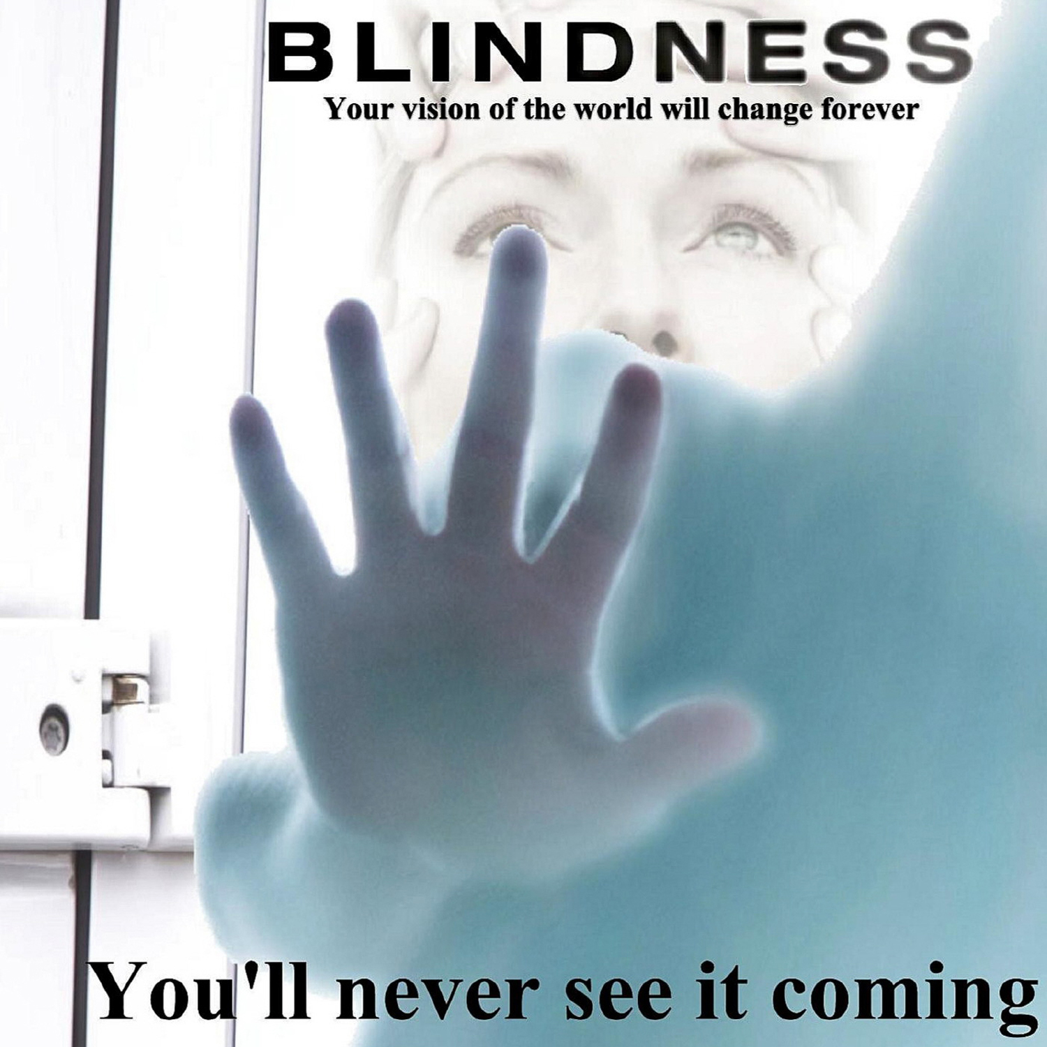 盲流感的海报-正式海报