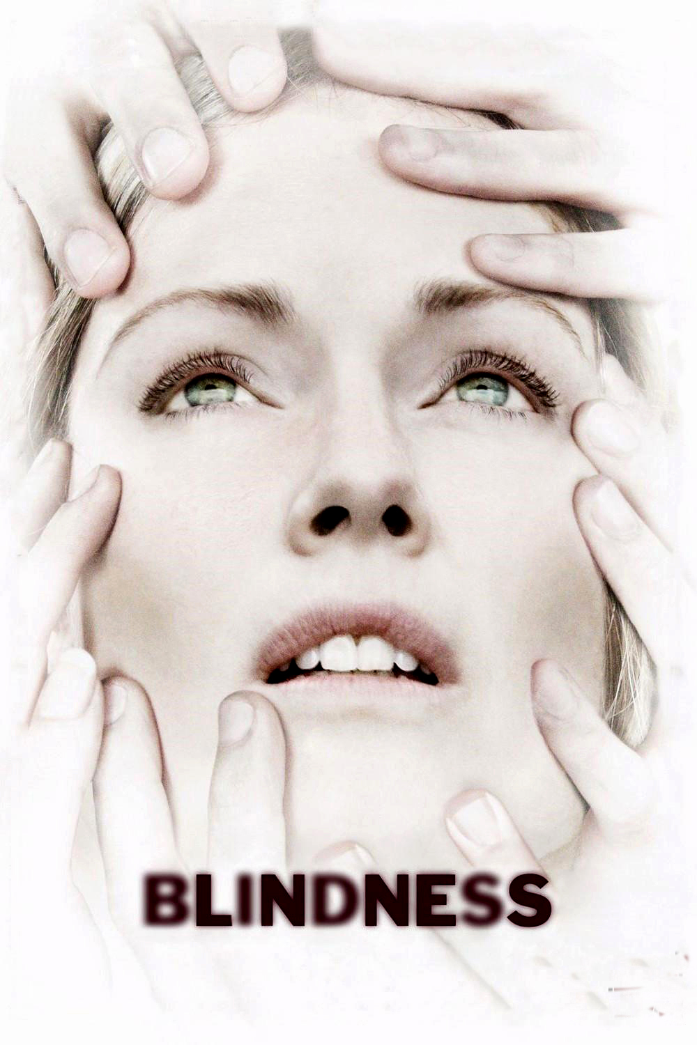 盲流感的海报-正式海报