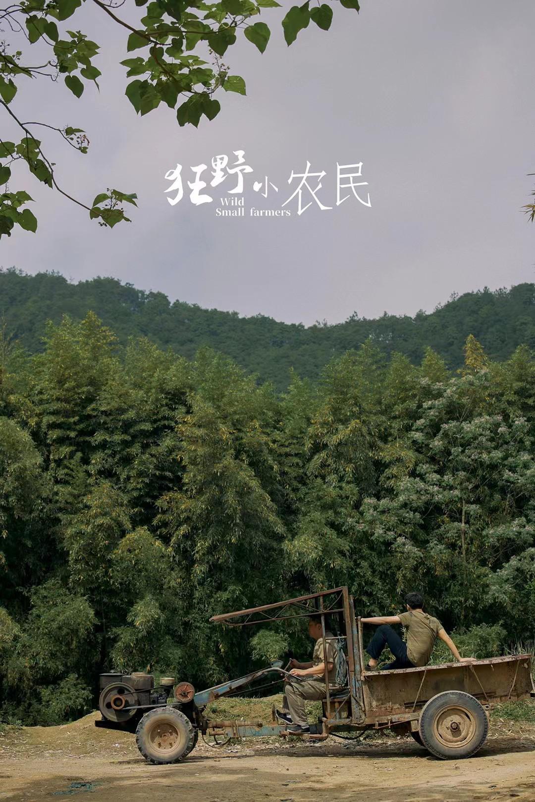 狂野小农民的海报-正式海报
