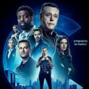 芝加哥警署 第十季