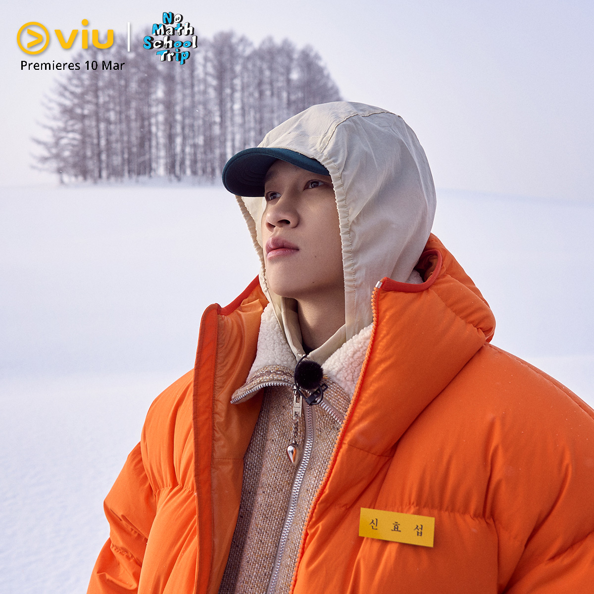 没有数学的修学旅行的海报-角色海报