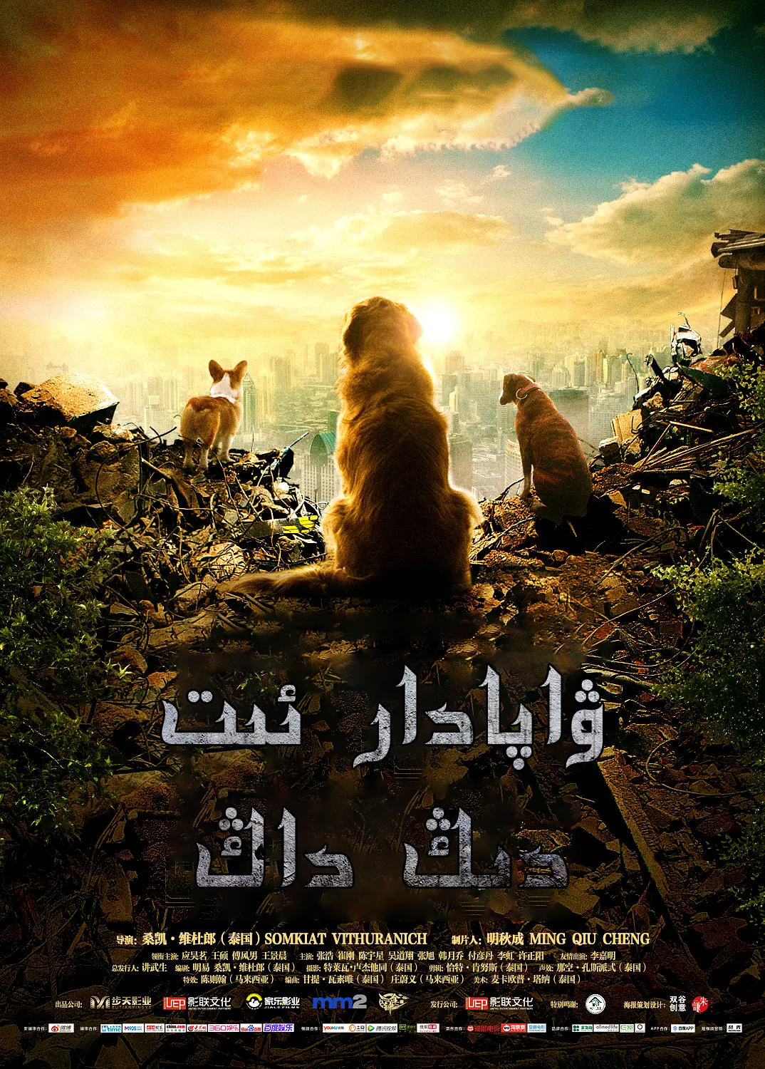 忠犬流浪记的海报-正式海报