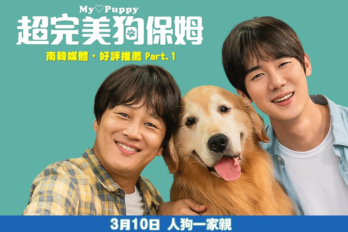 小奶狗的海报-正式海报 中国台湾