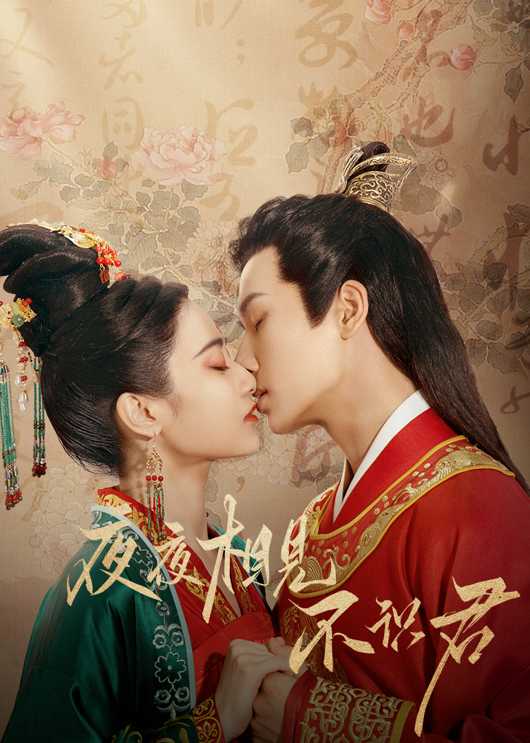 夜夜相见不识君的海报-预告海报 中国大陆