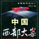中国西部刑侦重案纪实