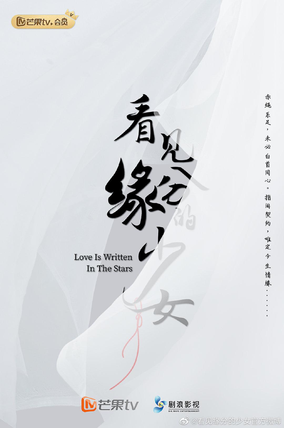 看见缘分的少女的海报-正式海报