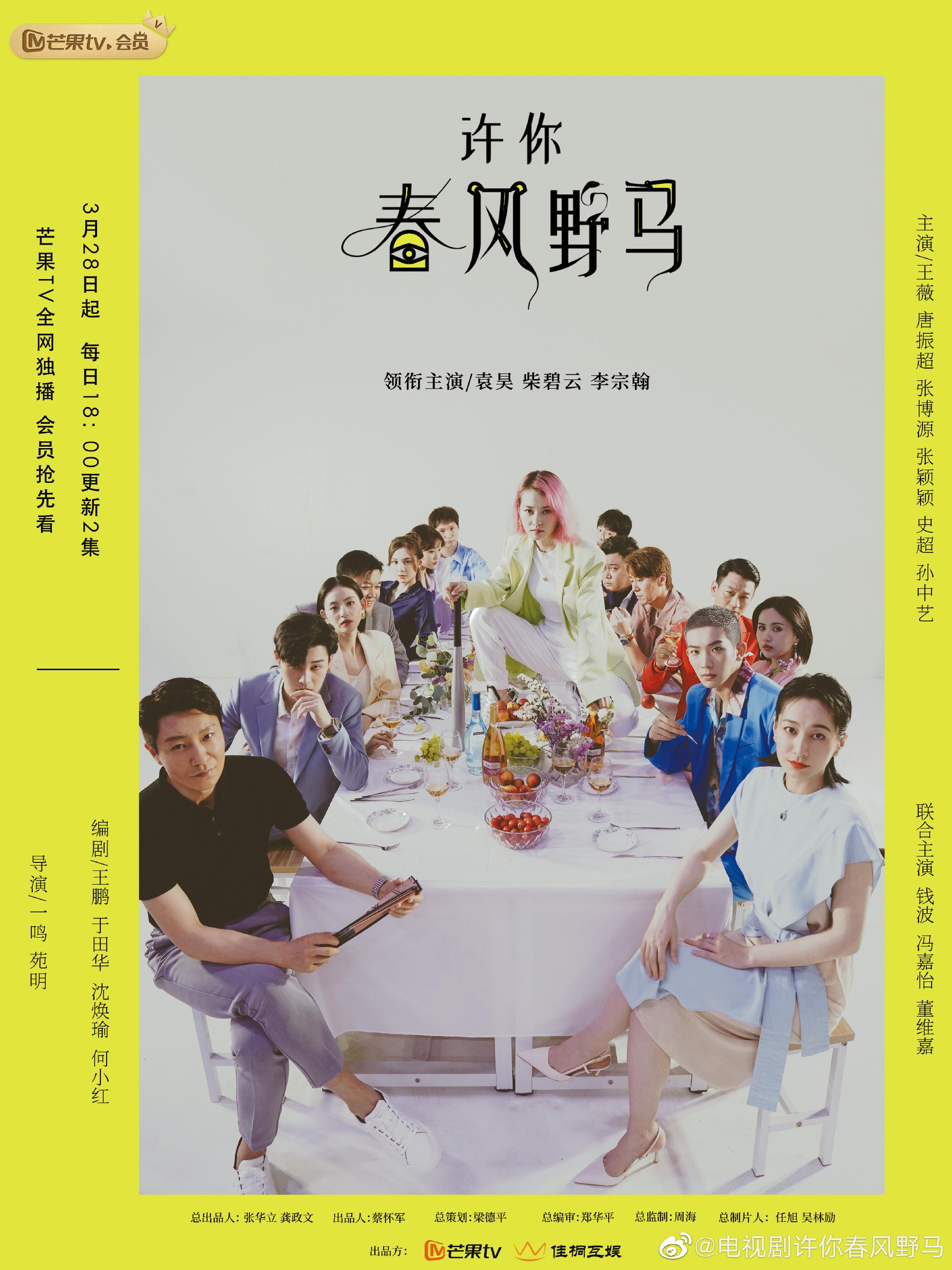 许你春风野马的海报-正式海报