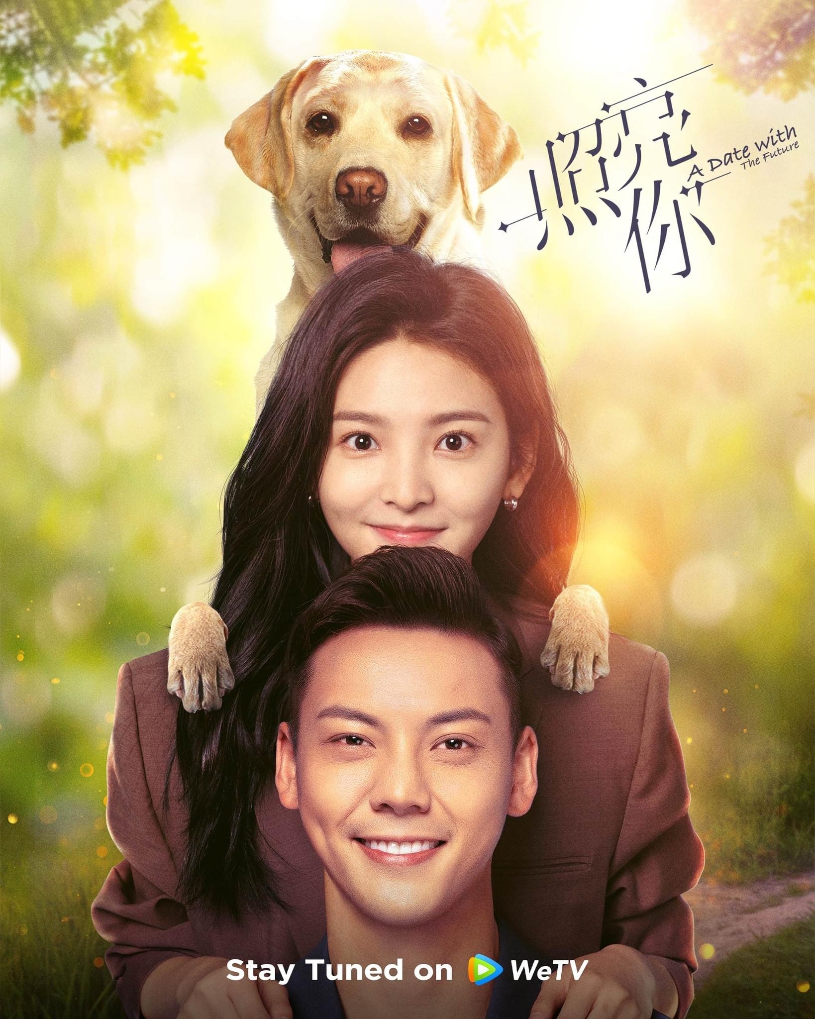 照亮你的海报-正式海报 美国