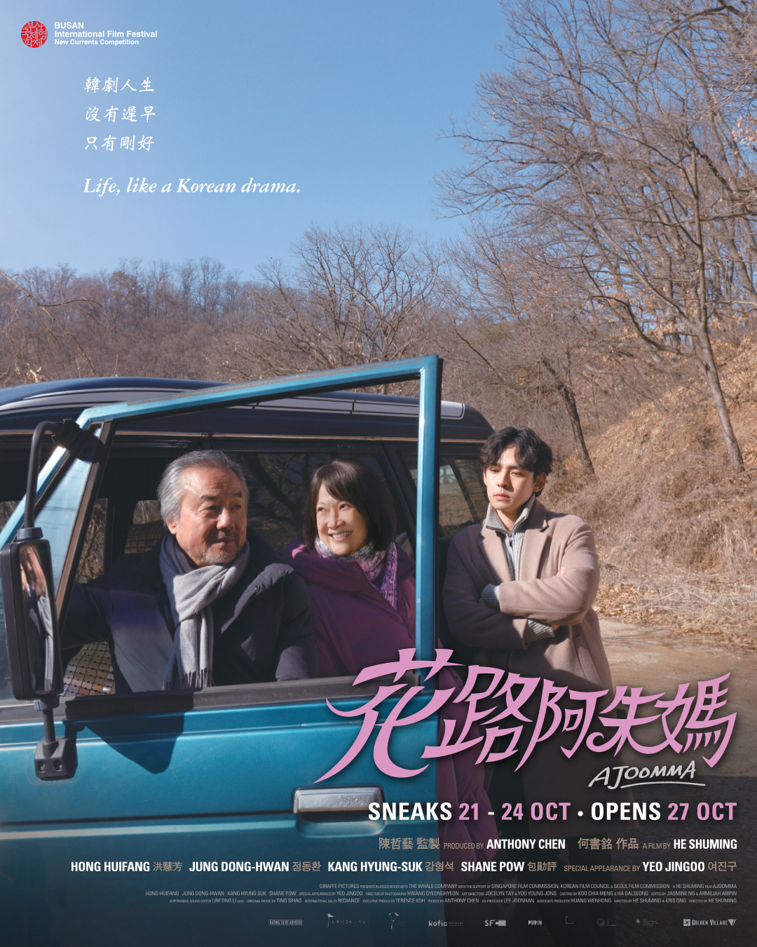 花路阿朱妈的海报-正式海报