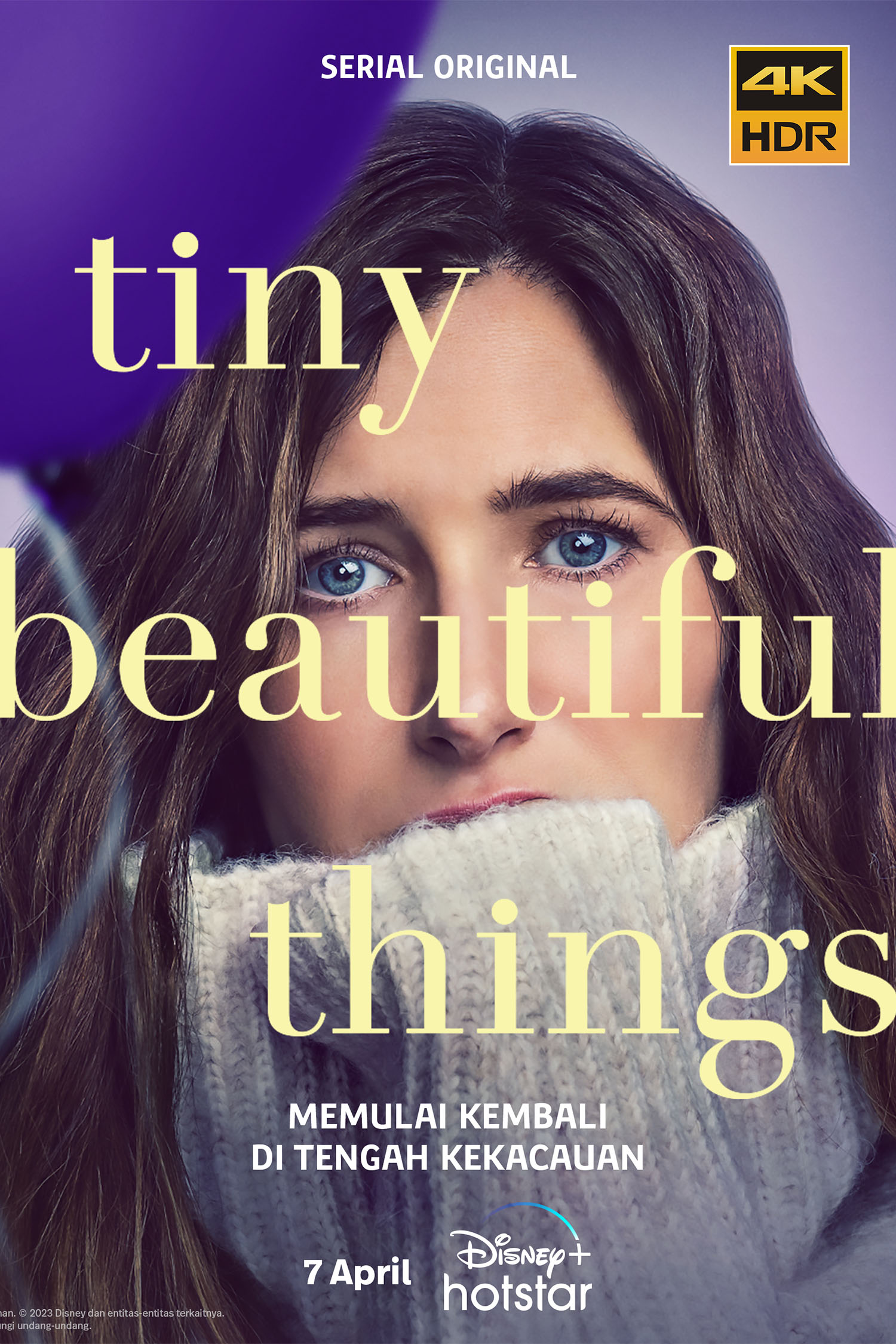 最美丽的小事的海报-正式海报