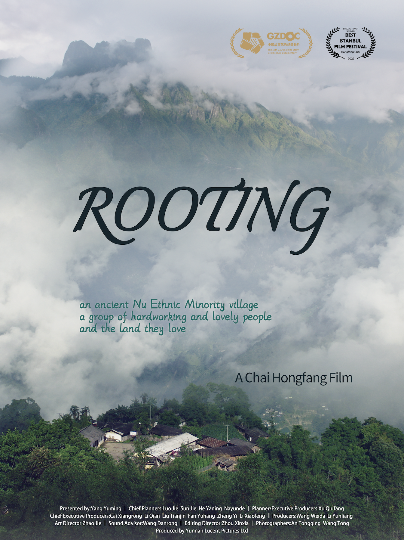 落地生根的海报-预告海报