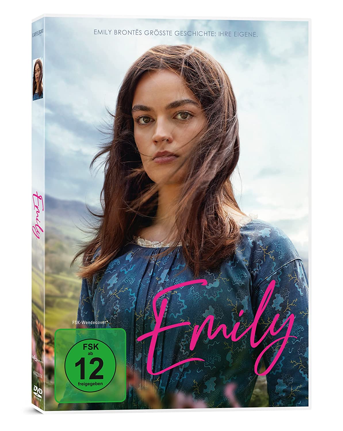 艾米莉的海报-其他海报