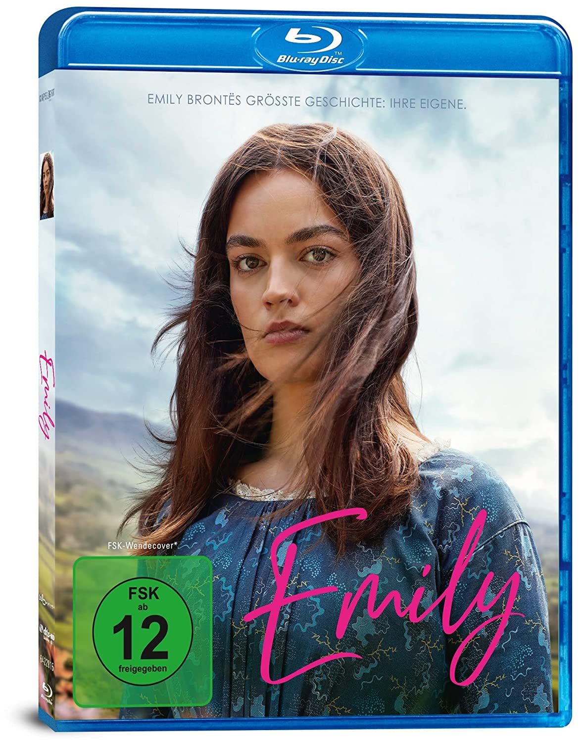 艾米莉的海报-其他海报