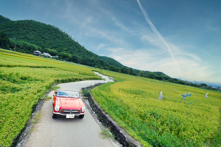 格雷斯的履历的海报-预告海报