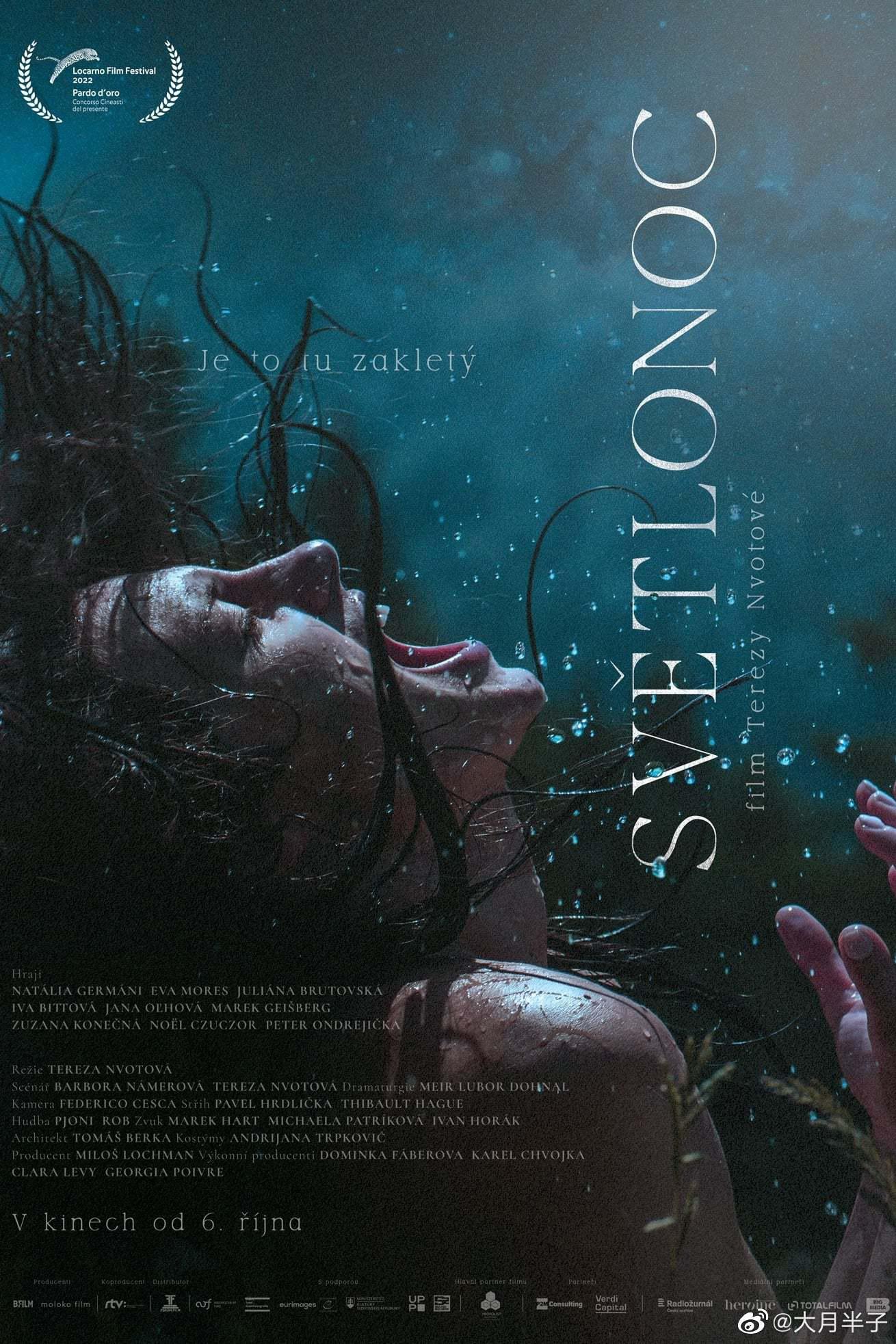 夜间女妖的海报-正式海报