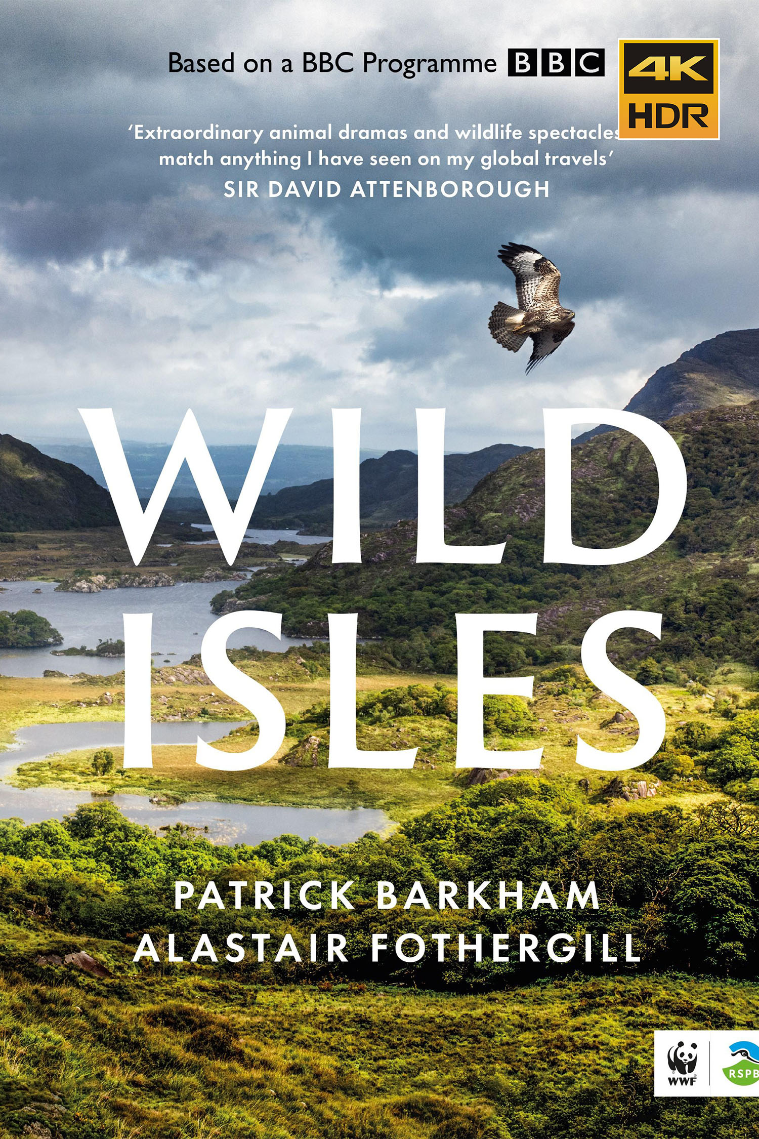 野性英伦的海报-正式海报