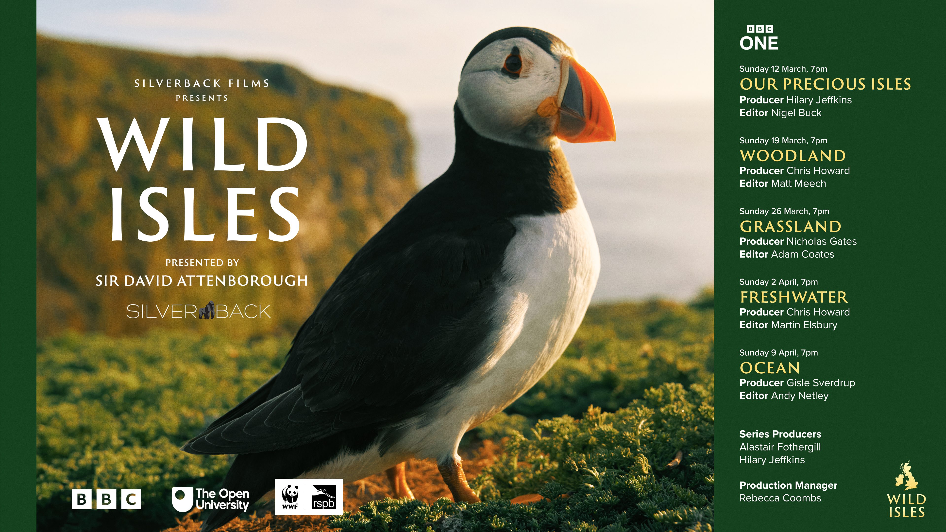 野性英伦的海报-正式海报