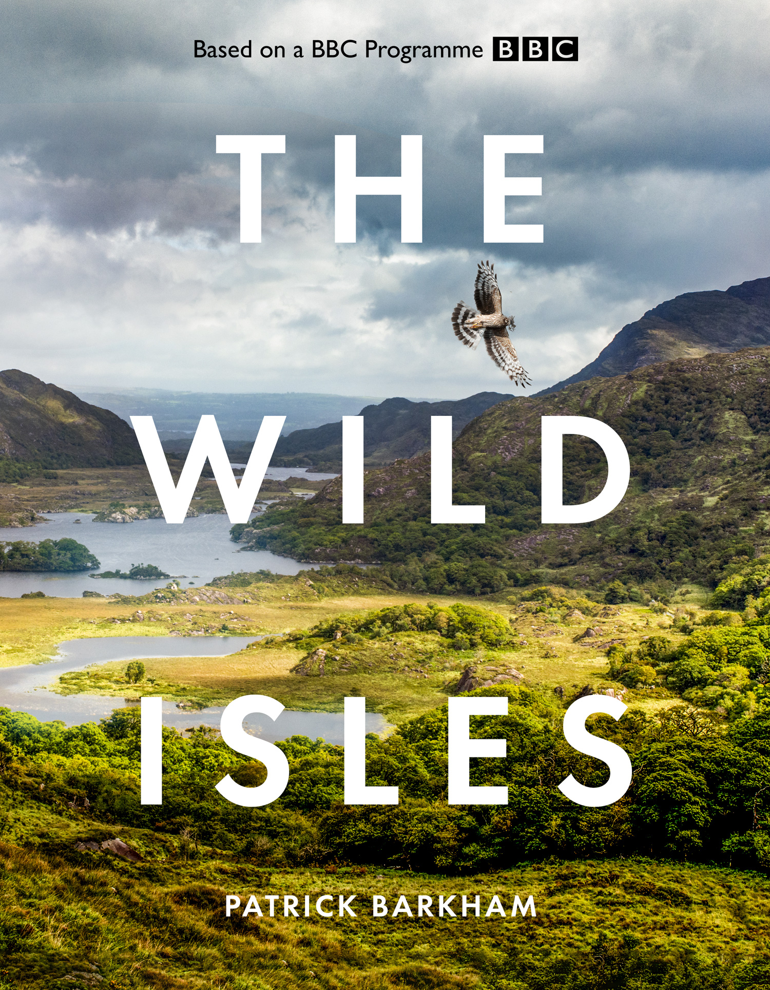 野性英伦的海报-预告海报 英国