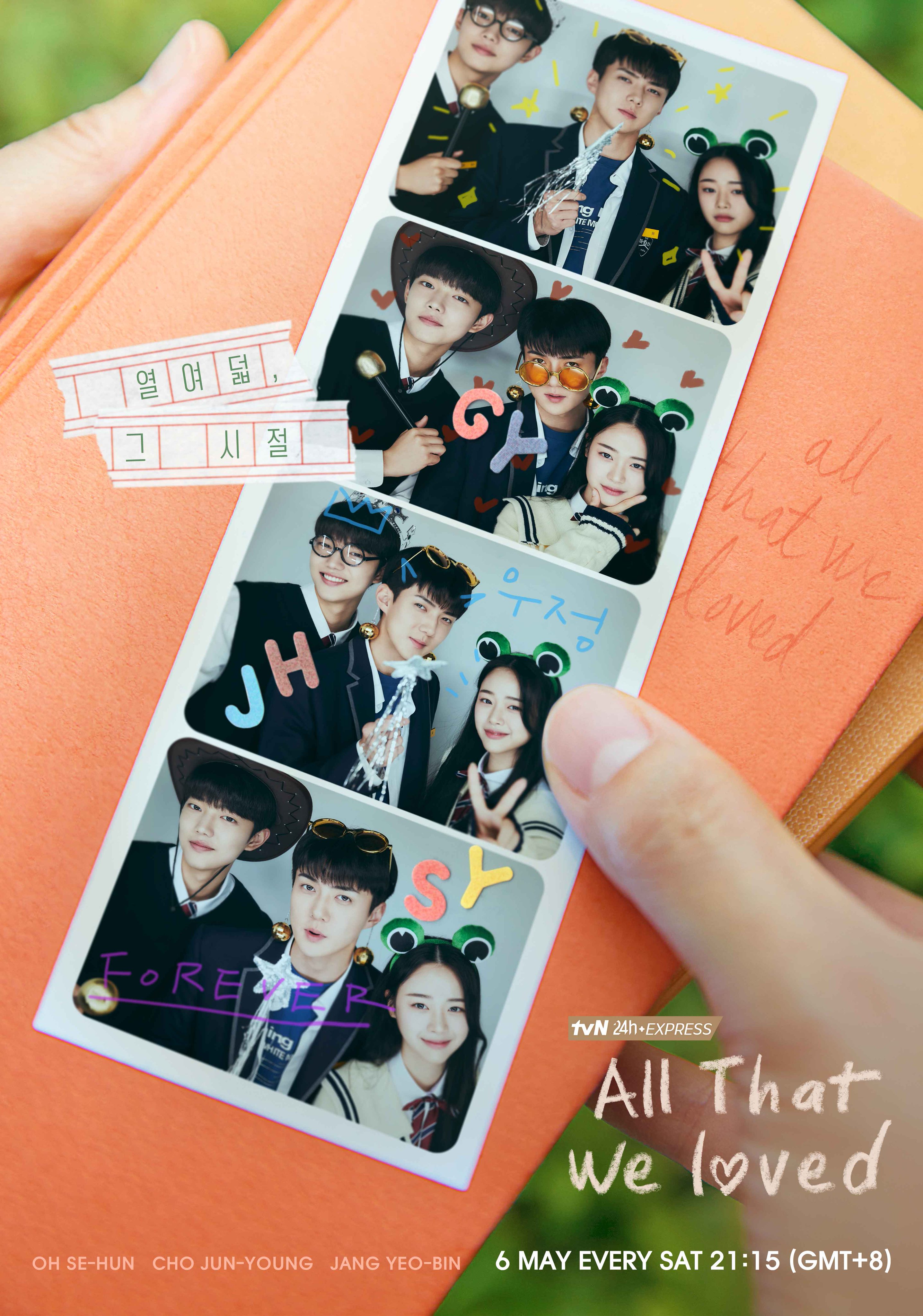 我们曾经爱过的一切的海报-正式海报