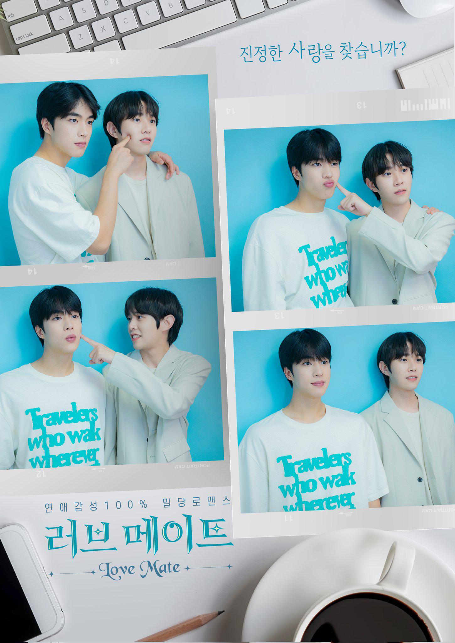 爱情伴侣的海报-其他海报