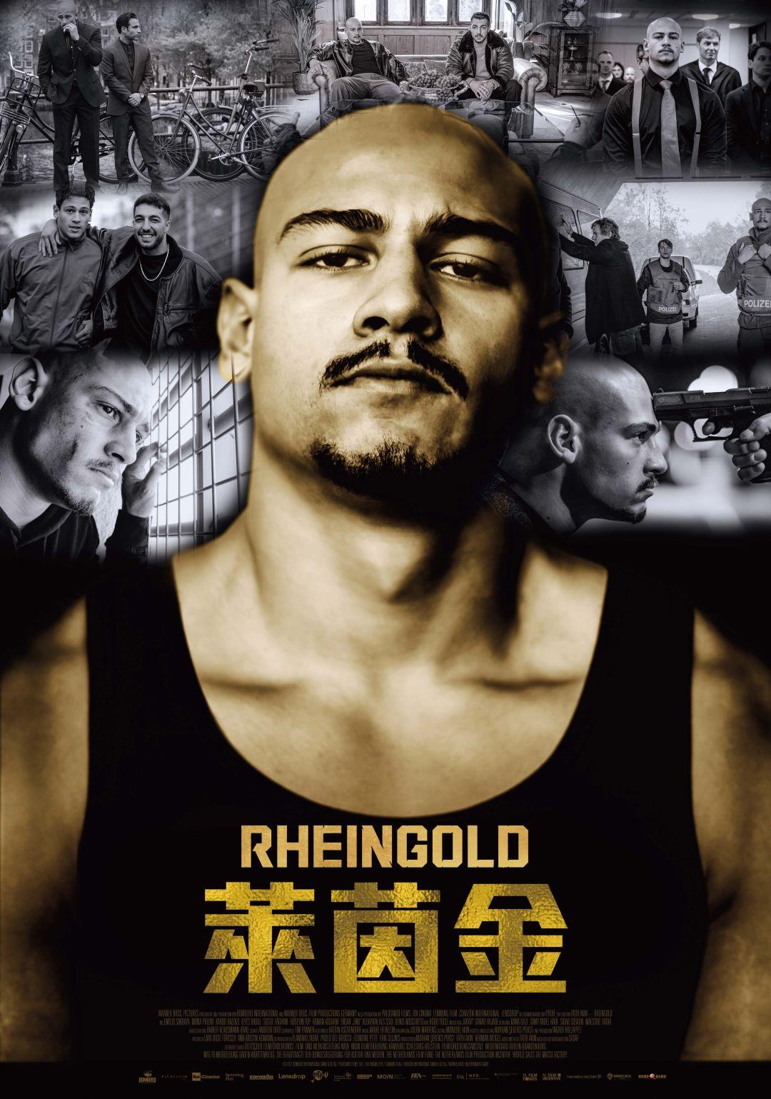 莱茵金的海报-预告海报 中国台湾