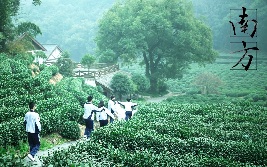 南方的海报-预告海报