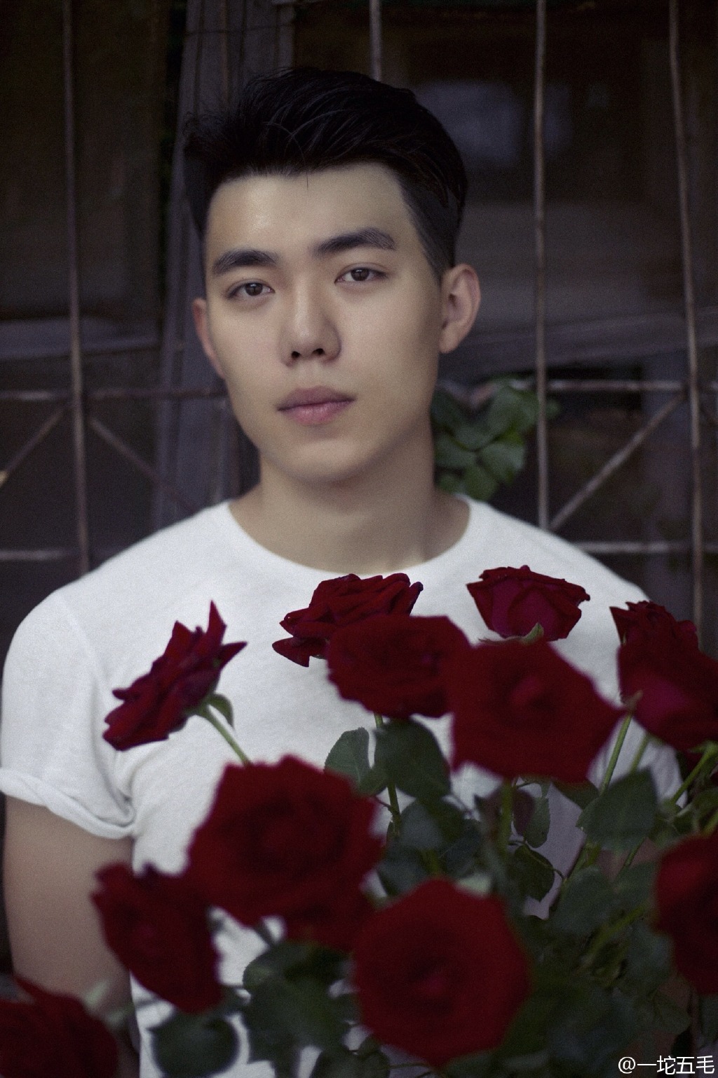 南方的海报-角色海报 中国大陆