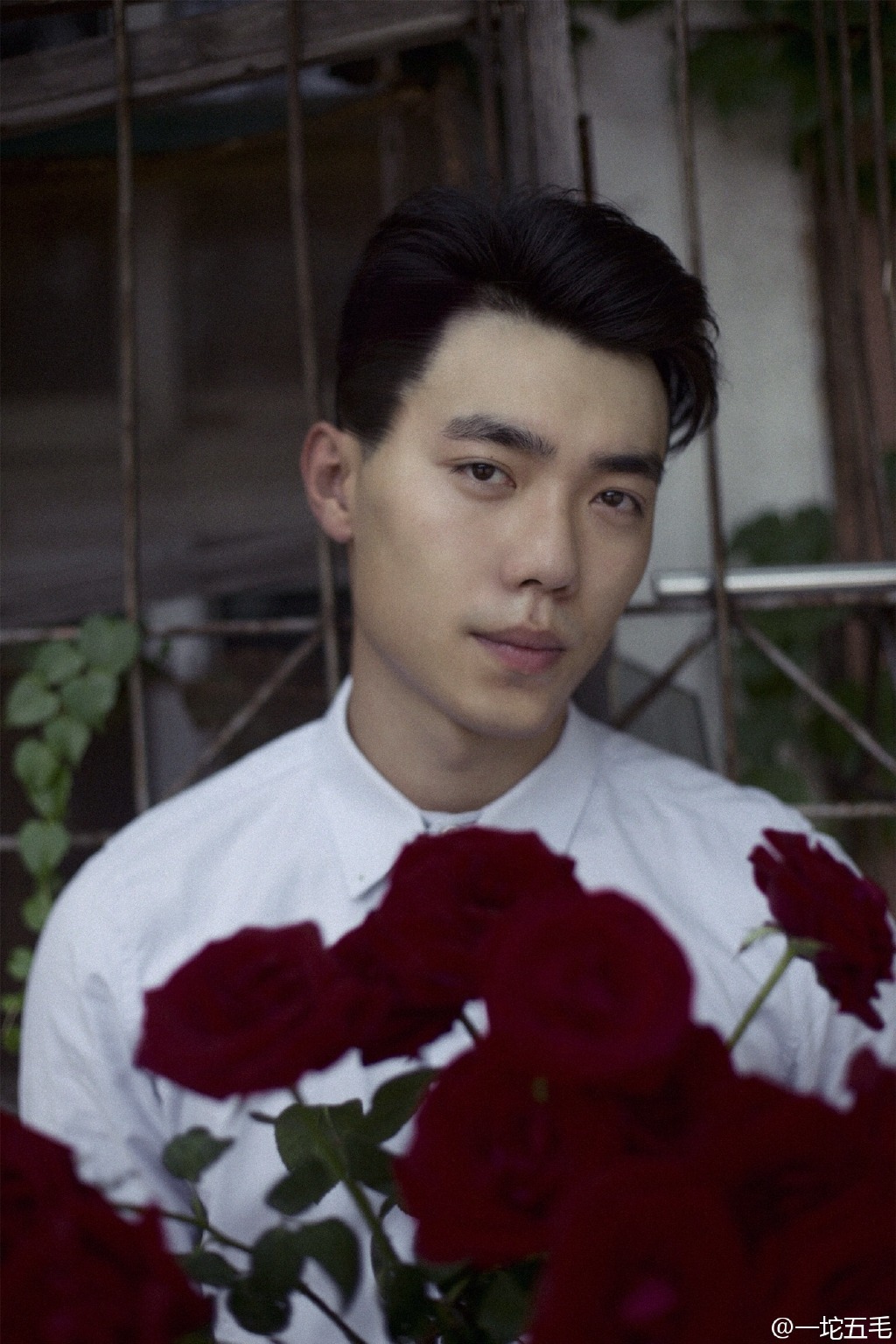 南方的海报-角色海报 中国大陆