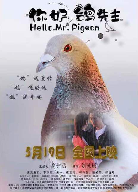 你好，鸽先生的海报-正式海报