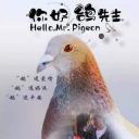 你好，鸽先生